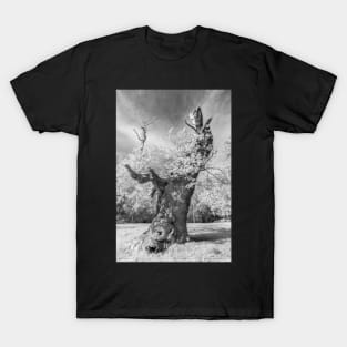 Mono Sandringham #1 T-Shirt